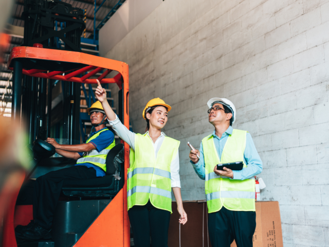 Effective Auditing and Inspection